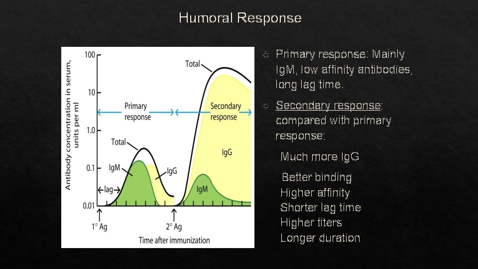 Humoral Response Primary response: Mainly Ig. M, low affinity antibodies, long lag time. Secondary