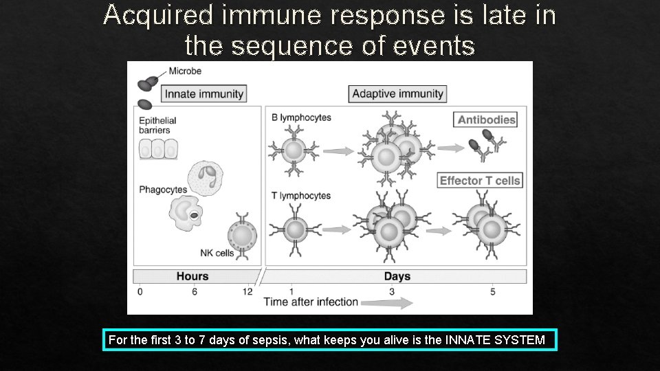 Acquired immune response is late in the sequence of events For the first 3