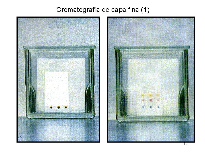 Cromatografía de capa fina (1) 19 