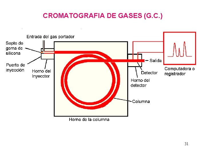 CROMATOGRAFIA DE GASES (G. C. ) 31 