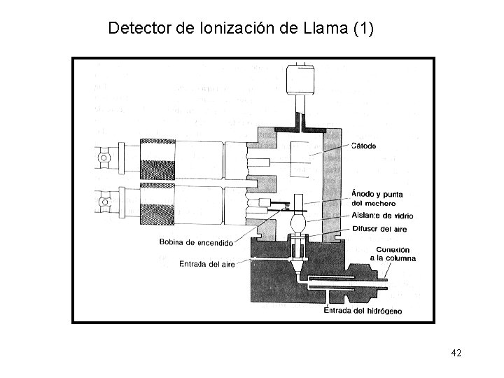 Detector de Ionización de Llama (1) 42 