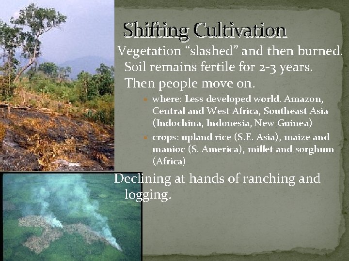 Shifting Cultivation Vegetation “slashed” and then burned. Soil remains fertile for 2 -3 years.