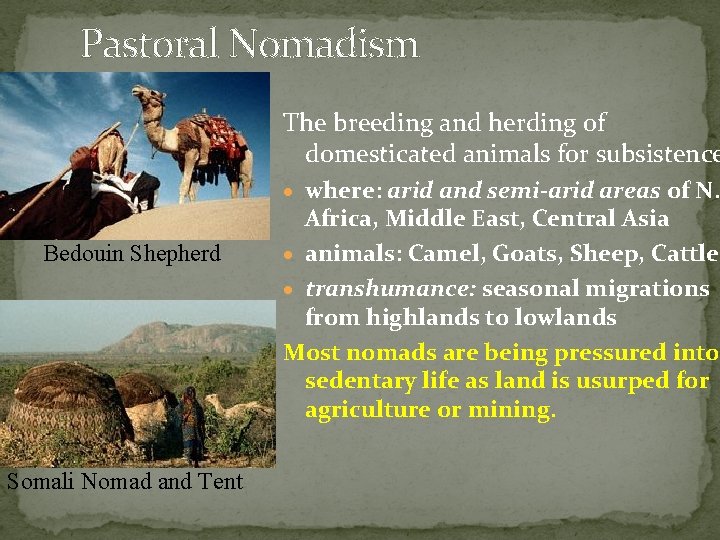 Pastoral Nomadism The breeding and herding of domesticated animals for subsistence · where: arid