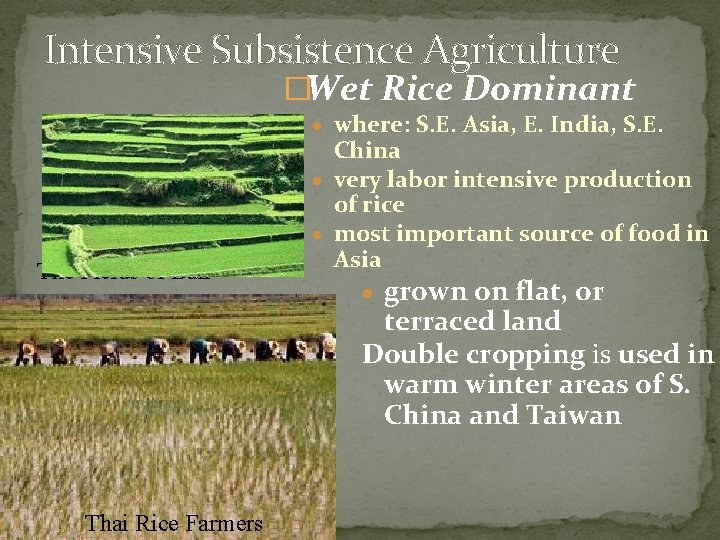 Intensive Subsistence Agriculture �Wet Rice Dominant · where: S. E. Asia, E. India, S.