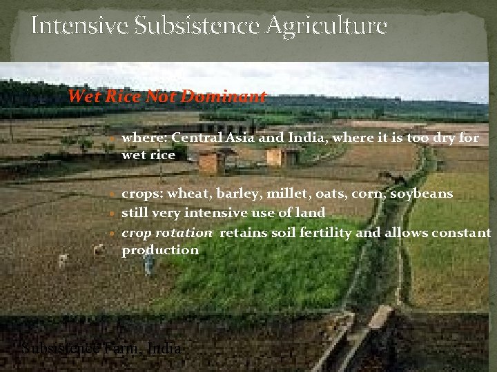 Intensive Subsistence Agriculture Wet Rice Not Dominant · where: Central Asia and India, where