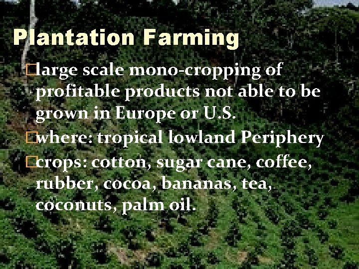 Plantation Farming �large scale mono-cropping of profitable products not able to be grown in