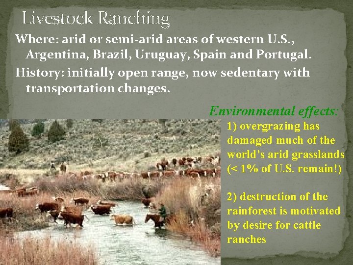 Livestock Ranching Where: arid or semi-arid areas of western U. S. , Argentina, Brazil,