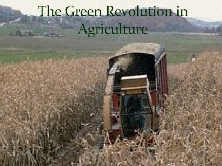 The Green Revolution in Agriculture 