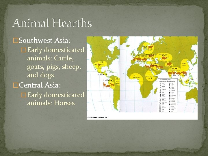 Animal Hearths �Southwest Asia: � Early domesticated animals: Cattle, goats, pigs, sheep, and dogs.