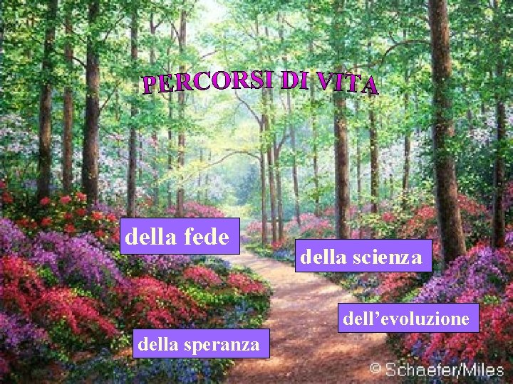 della fede della scienza dell’evoluzione della speranza 