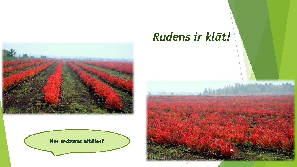 Rudens ir klāt! Kas redzams attēlos? Rudens ir klāt! Kas redzams attēlos?