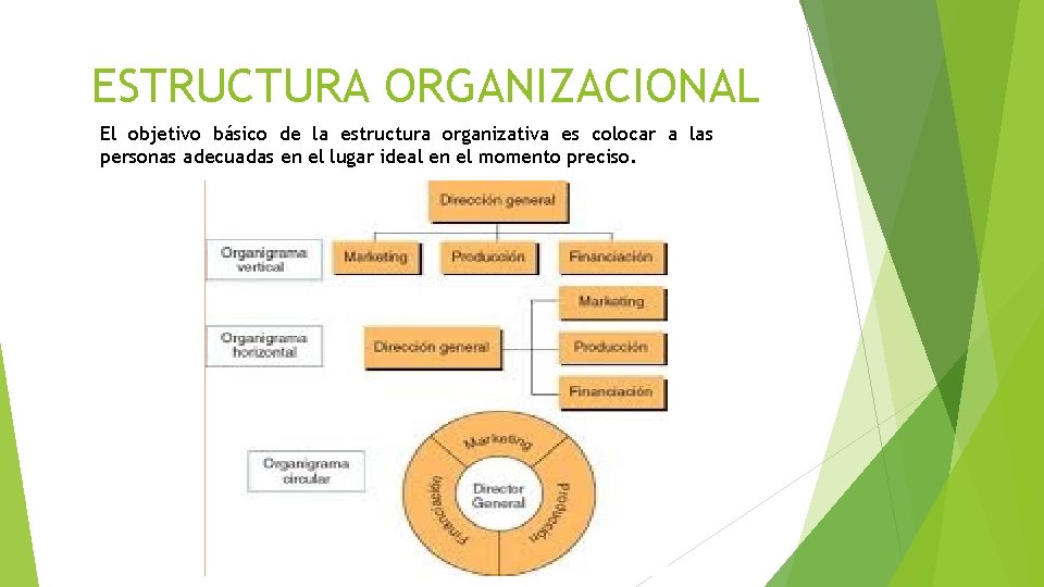 ESTRUCTURA ORGANIZACIONAL El objetivo básico de la estructura organizativa es colocar a las personas