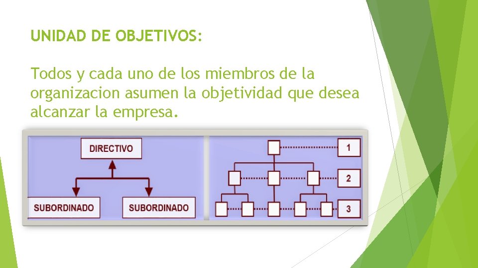 UNIDAD DE OBJETIVOS: Todos y cada uno de los miembros de la organizacion asumen