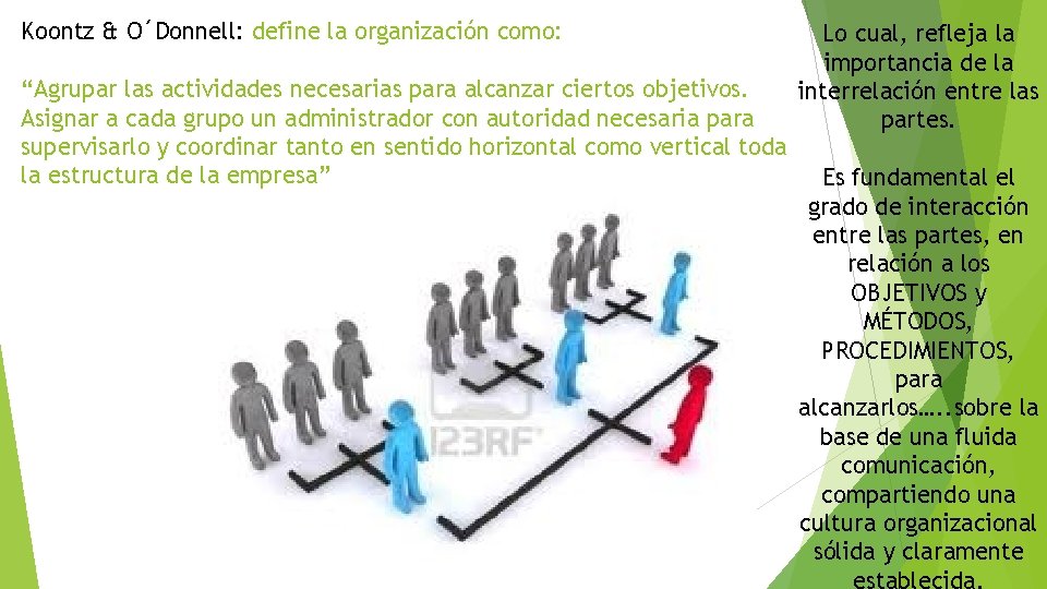 Koontz & O´Donnell: define la organización como: “Agrupar las actividades necesarias para alcanzar ciertos