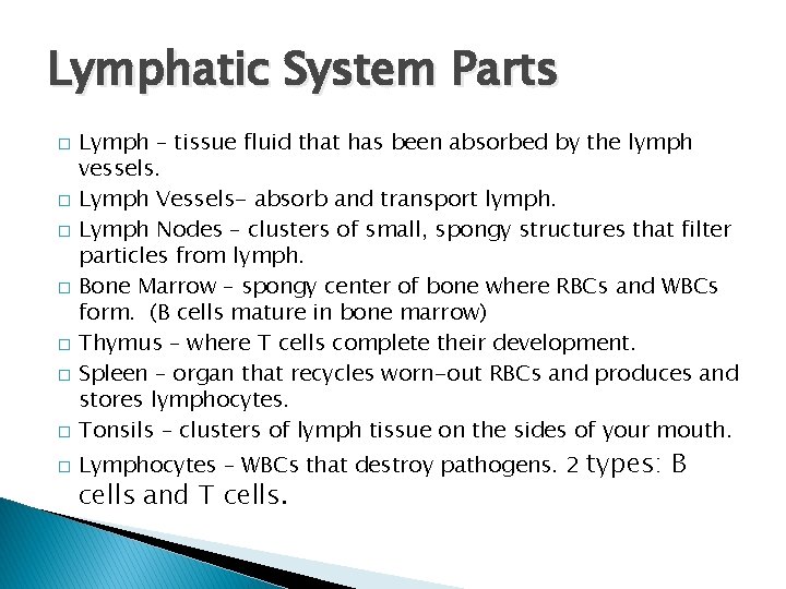 Lymphatic System Parts � Lymph – tissue fluid that has been absorbed by the