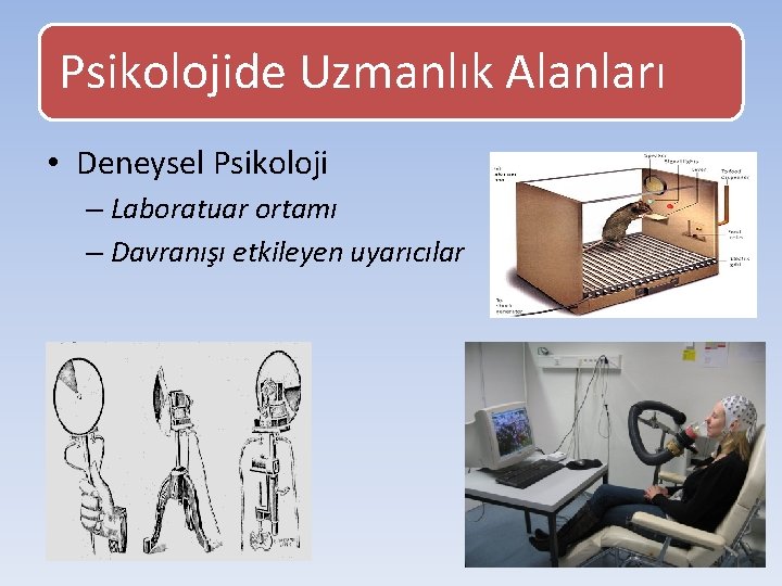 Psikolojide Uzmanlık Alanları • Deneysel Psikoloji – Laboratuar ortamı – Davranışı etkileyen uyarıcılar 