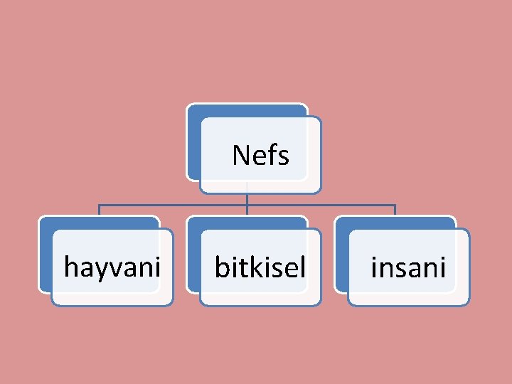 Nefs hayvani bitkisel insani 