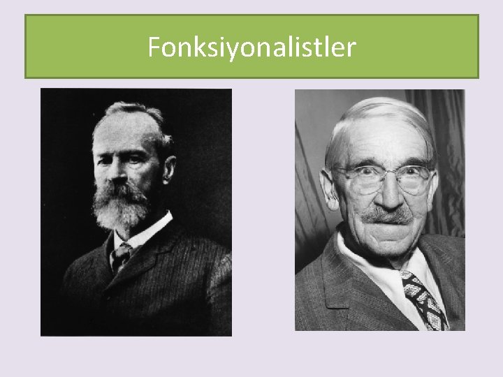 Fonksiyonalistler 