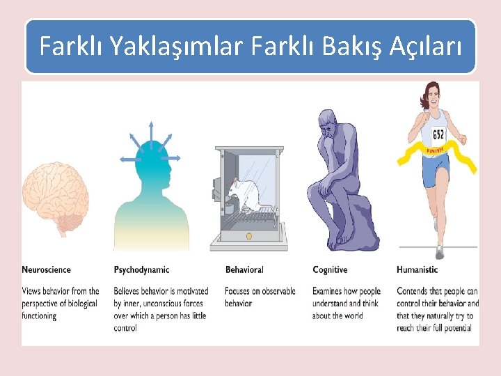 Farklı Yaklaşımlar Farklı Bakış Açıları 