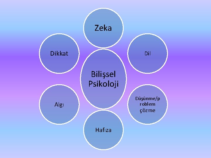 Zeka Dikkat Dil Bilişsel Psikoloji Düşünme/p roblem Algı çözme Hafıza 