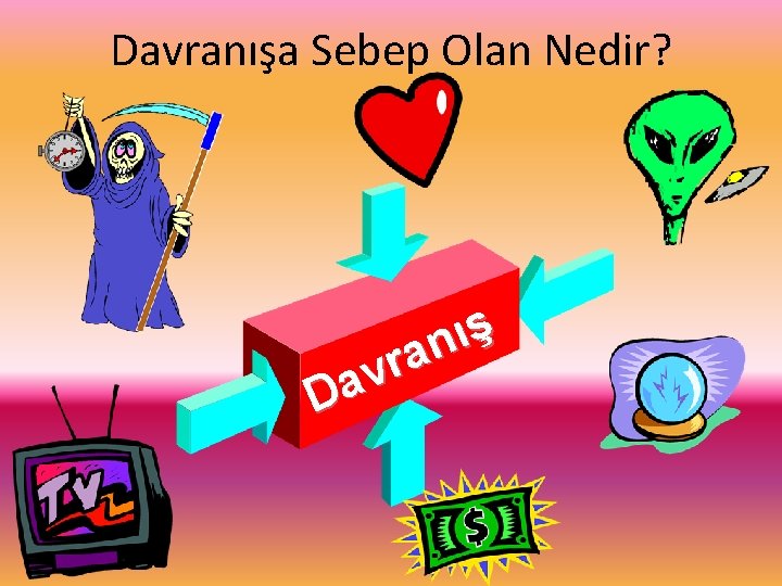 Davranışa Sebep Olan Nedir? ş ı n a r v Da 