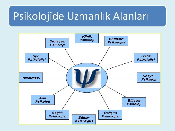 Psikolojide Uzmanlık Alanları 