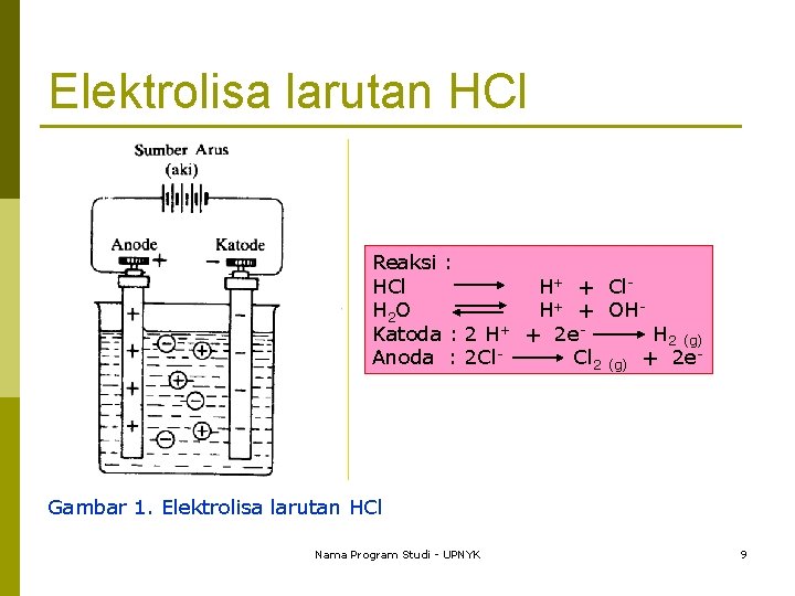 Elektrolisa larutan HCl Reaksi : HCl H+ + Cl. H 2 O H+ +