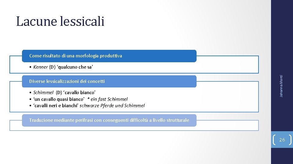 Lacune lessicali Come risultato di una morfologia produttiva Diverse lessicalizzazioni dei concetti • Schimmel