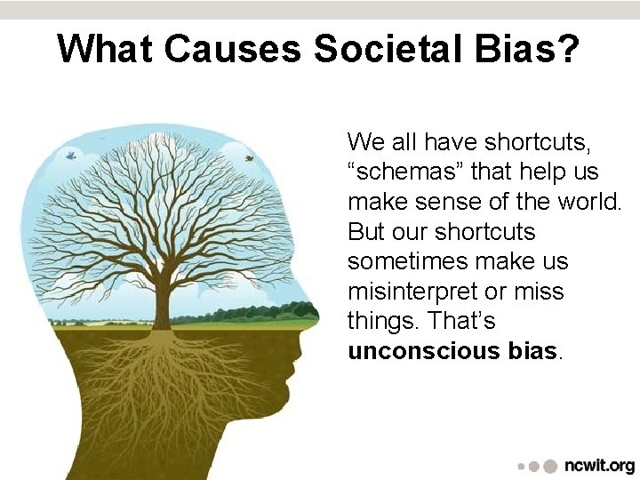 What Causes Societal Bias? We all have shortcuts, “schemas” that help us make sense