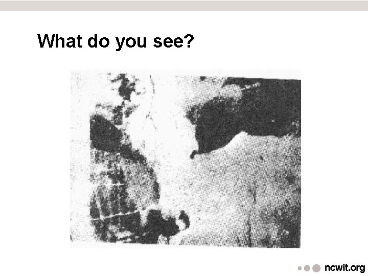 What do you see? 