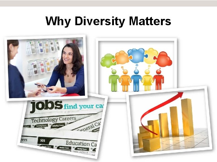 Why Diversity Matters 