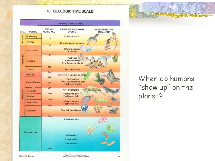When do humans “show up” on the planet? 