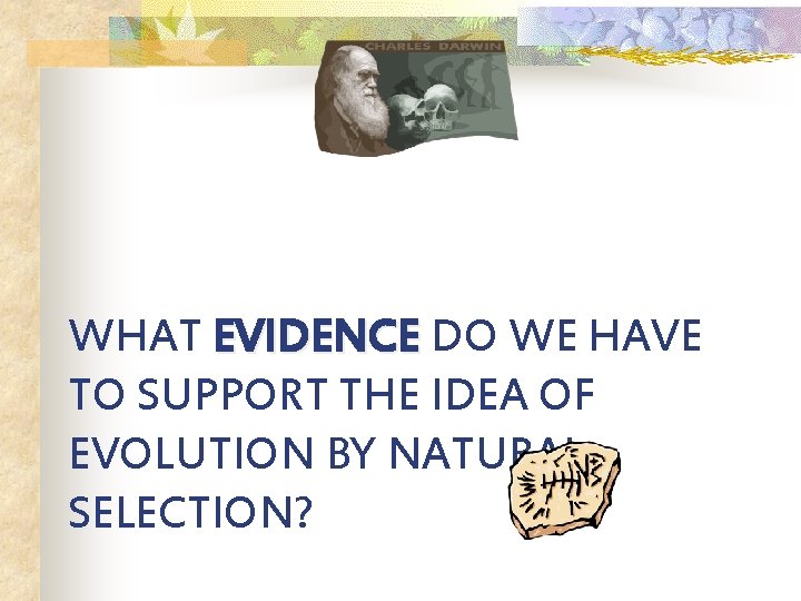WHAT EVIDENCE DO WE HAVE TO SUPPORT THE IDEA OF EVOLUTION BY NATURAL SELECTION?