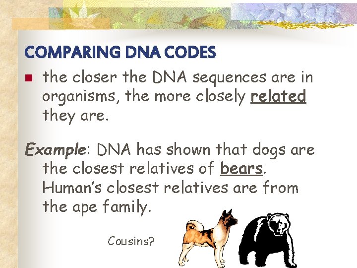 COMPARING DNA CODES n the closer the DNA sequences are in organisms, the more