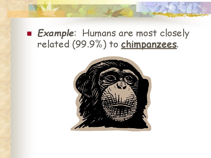 n Example: Humans are most closely related (99. 9%) to chimpanzees 