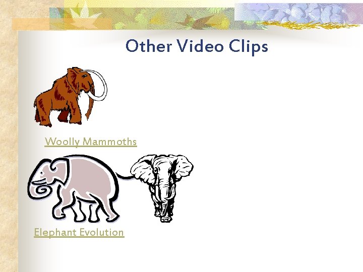 Other Video Clips Woolly Mammoths Elephant Evolution 