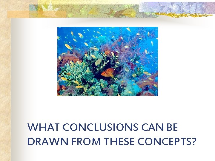 WHAT CONCLUSIONS CAN BE DRAWN FROM THESE CONCEPTS? 