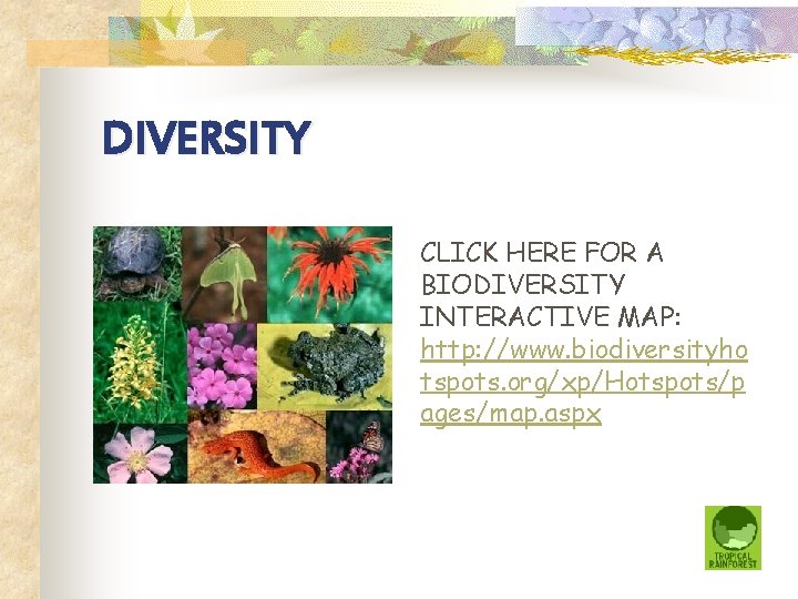 DIVERSITY CLICK HERE FOR A BIODIVERSITY INTERACTIVE MAP: http: //www. biodiversityho tspots. org/xp/Hotspots/p ages/map.