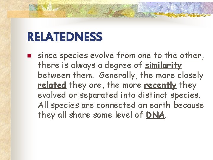 RELATEDNESS n since species evolve from one to the other, there is always a