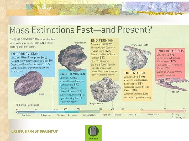 EXTINCTION BY BRAINPOP 