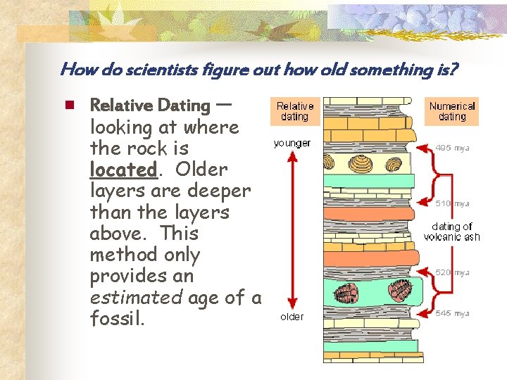 How do scientists figure out how old something is? n Relative Dating — looking