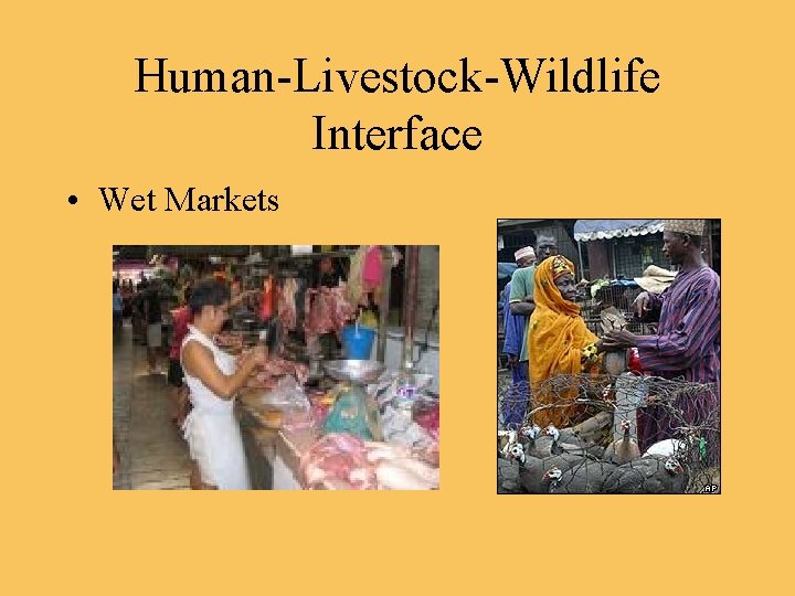 Human-Livestock-Wildlife Interface • Wet Markets 