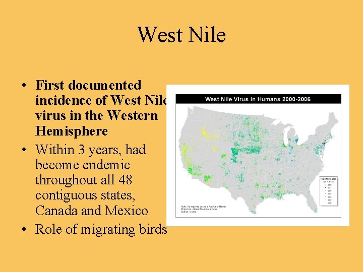 West Nile • First documented incidence of West Nile virus in the Western Hemisphere