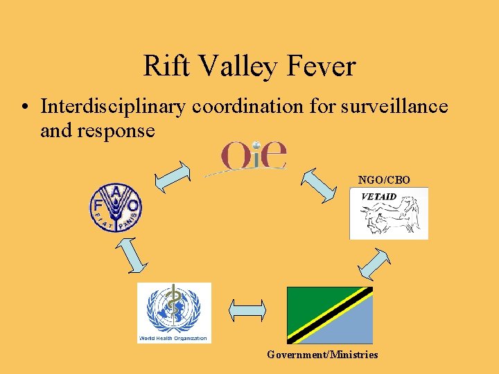 Rift Valley Fever • Interdisciplinary coordination for surveillance and response NGO/CBO Government/Ministries 