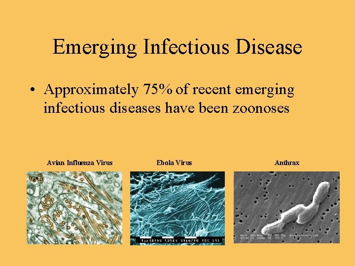 Emerging Infectious Disease • Approximately 75% of recent emerging infectious diseases have been zoonoses