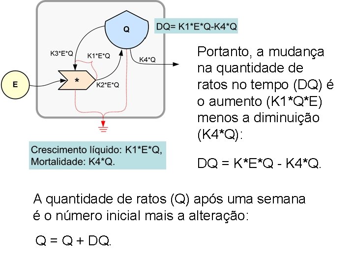 Portanto, a mudança na quantidade de ratos no tempo (DQ) é o aumento (K