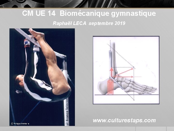 CM UE 14 Biomécanique gymnastique Raphaël LECA septembre 2019 www. culturestaps. com 