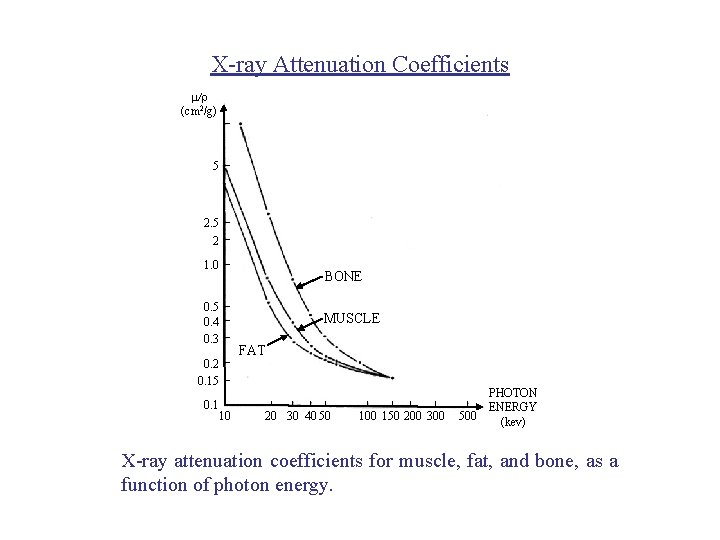 X-ray Attenuation Coefficients m/r (cm 2/g) 5 2 1. 0 BONE 0. 5 0.