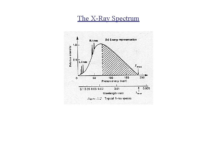 The X-Ray Spectrum 