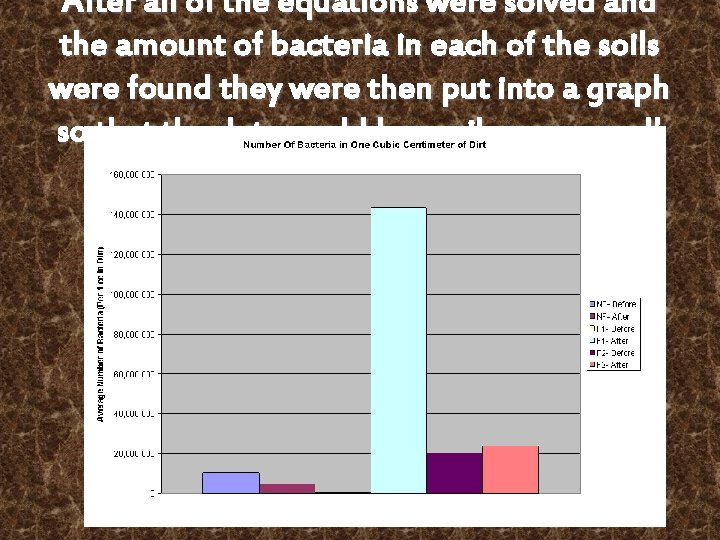 After all of the equations were solved and the amount of bacteria in each